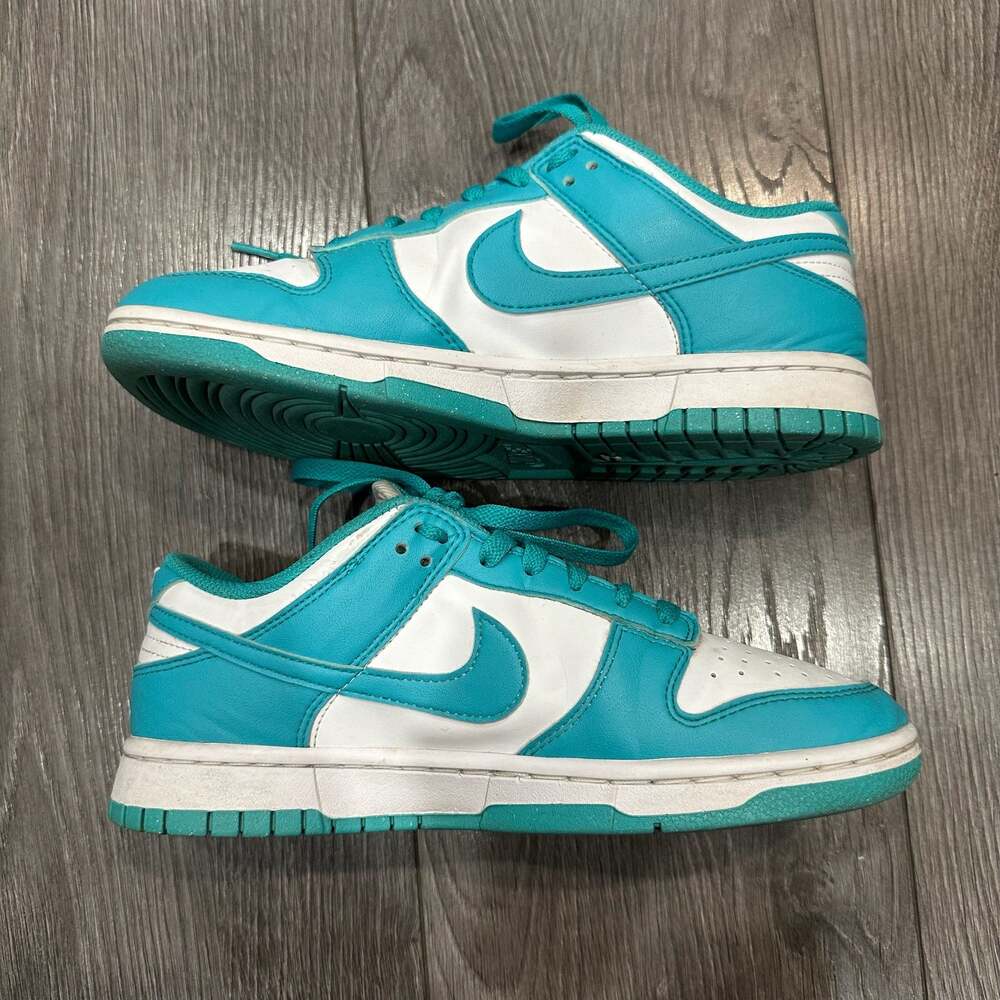 Nike Dunk Low Next Nature Dusty Cactus Size 7.5 Women’s